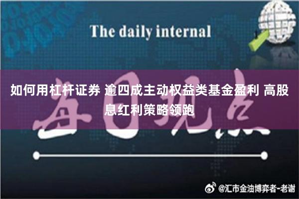 如何用杠杆证券 逾四成主动权益类基金盈利 高股息红利策略领跑