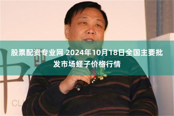 股票配资专业网 2024年10月18日全国主要批发市场蛏子价格行情