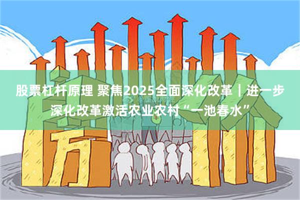 股票杠杆原理 聚焦2025全面深化改革｜进一步深化改革激活农业农村“一池春水”